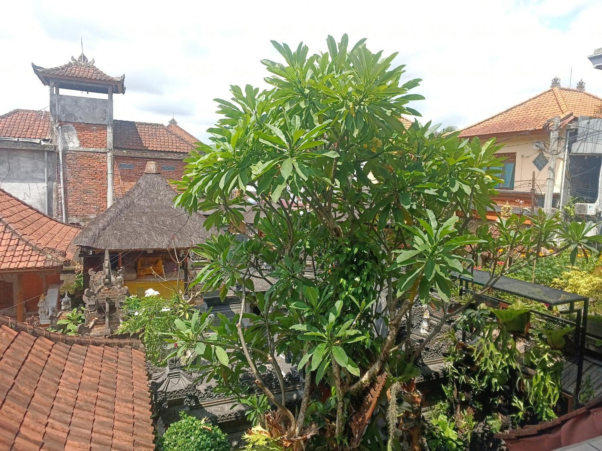 Arjuna Homestay Ubud Zewnętrze zdjęcie