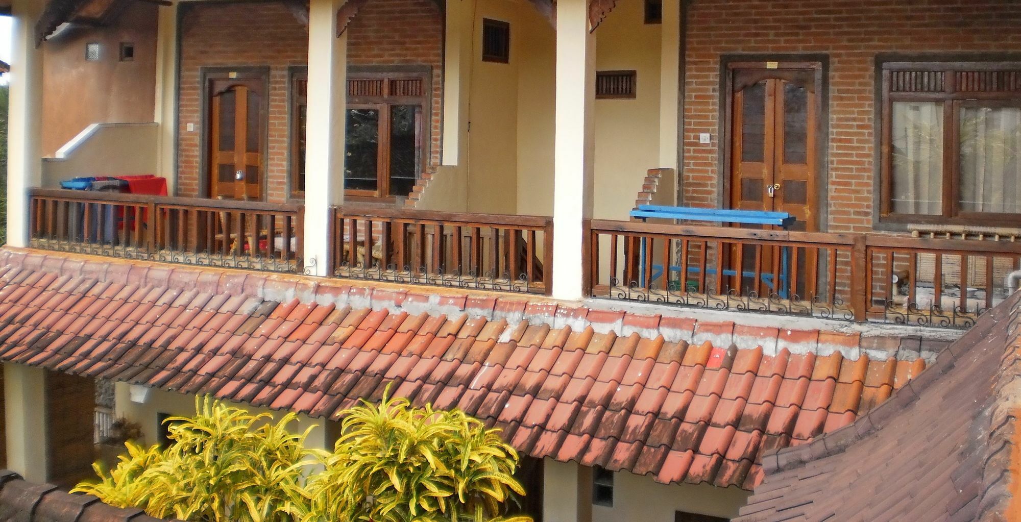 Arjuna Homestay Ubud Zewnętrze zdjęcie