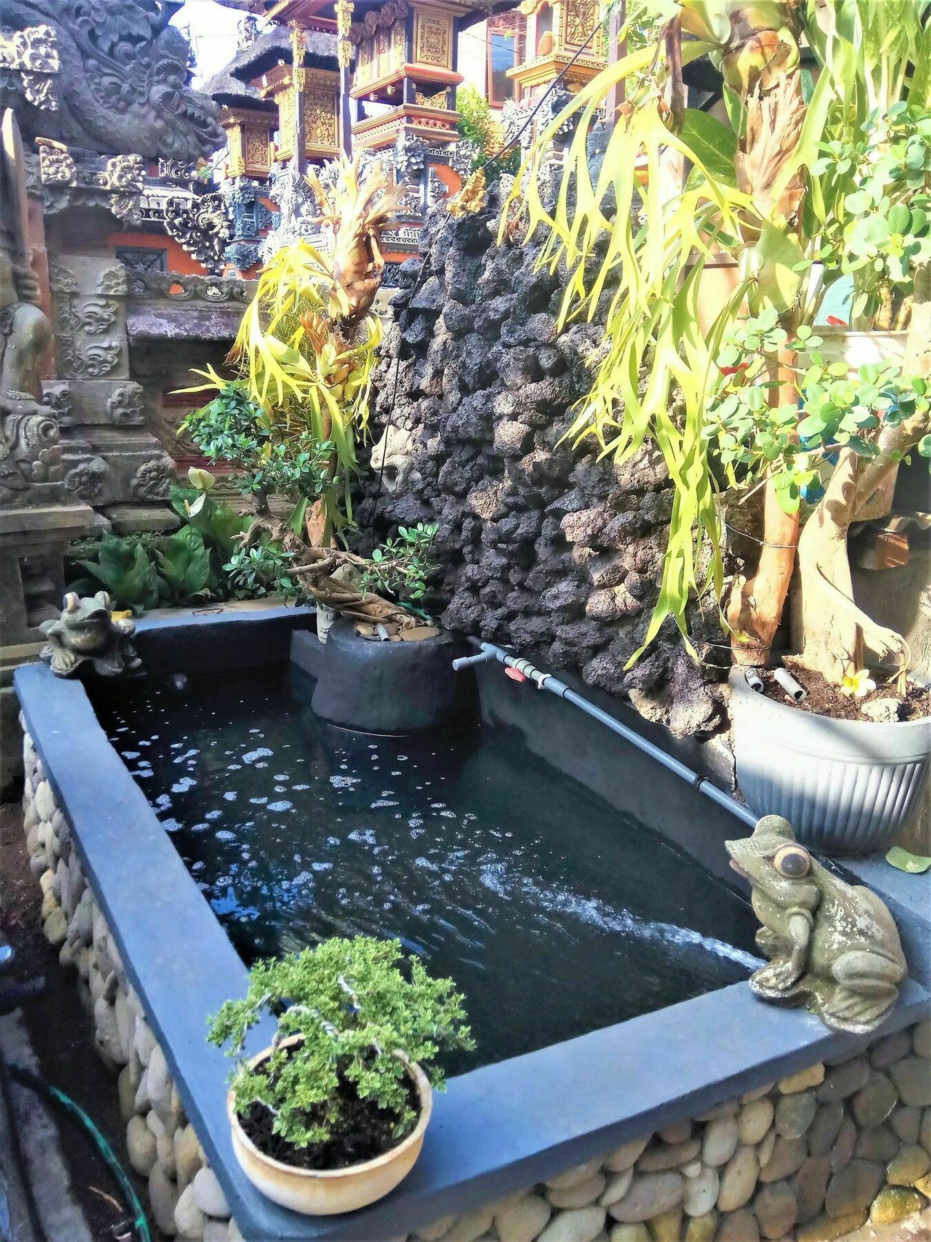 Arjuna Homestay Ubud Zewnętrze zdjęcie