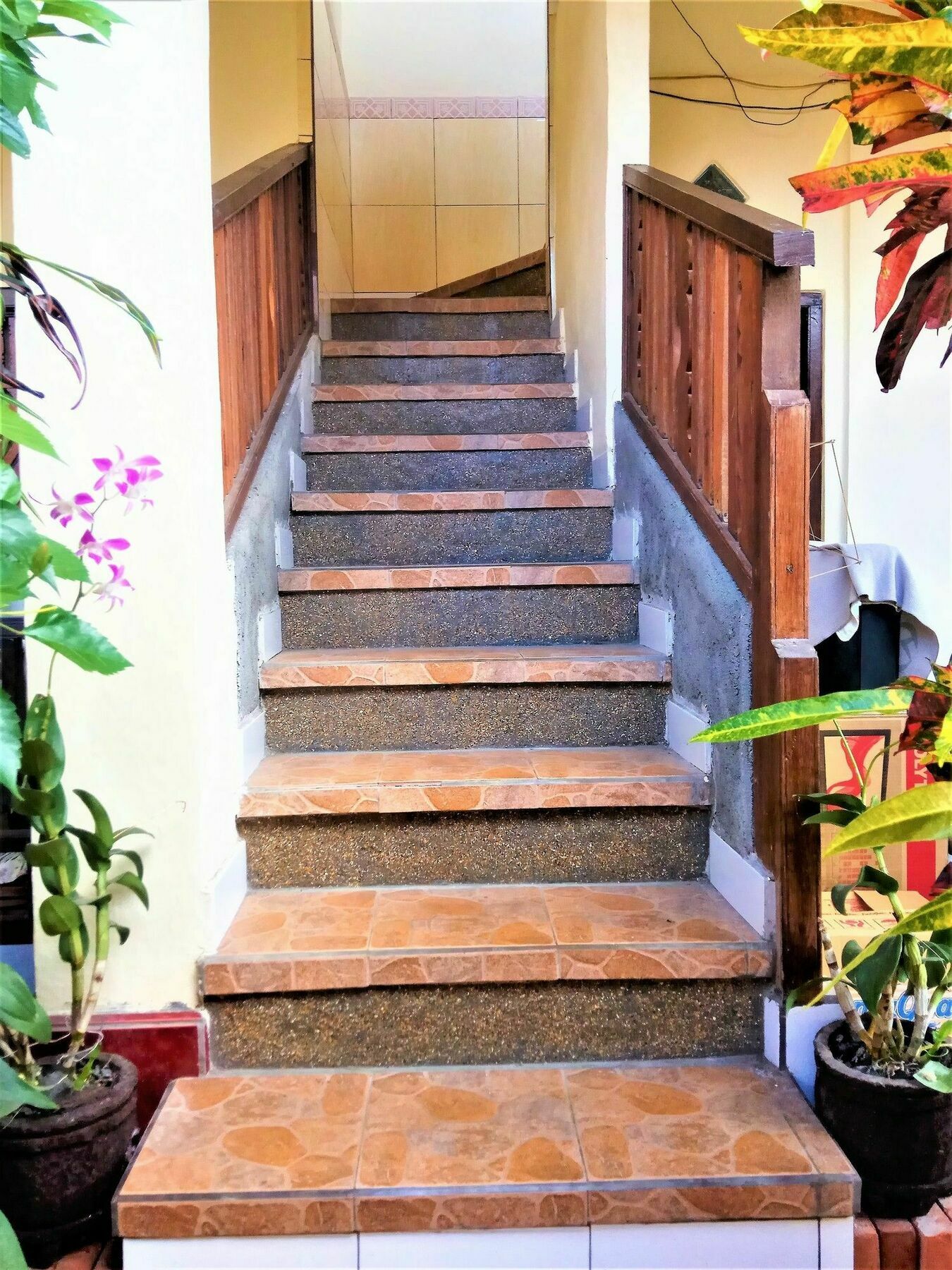 Arjuna Homestay Ubud Zewnętrze zdjęcie